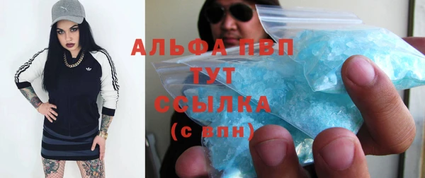 МДПВ Богородск