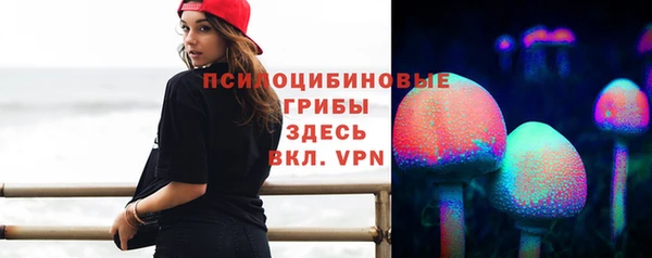 прущий лед Богородицк