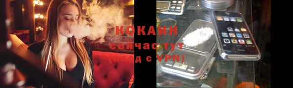 МДПВ Богородск