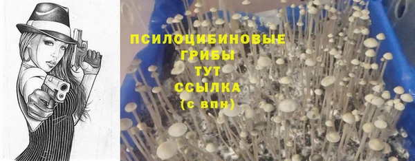 прущий лед Богородицк