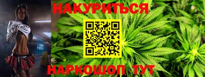 тгк Бийск