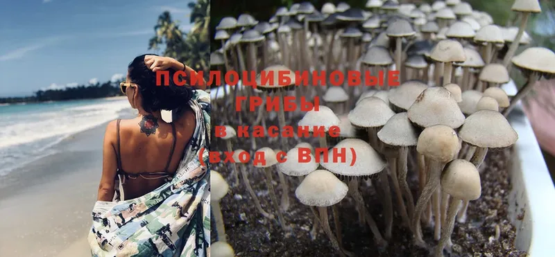 Псилоцибиновые грибы MAGIC MUSHROOMS  Бугульма 