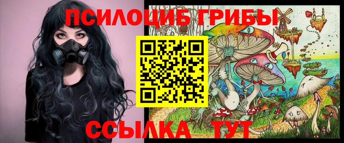 Галлюциногенные грибы Cubensis  Псилоцибиновые грибы GOLDEN TEACHER  Бугульма  Вход с VPN 